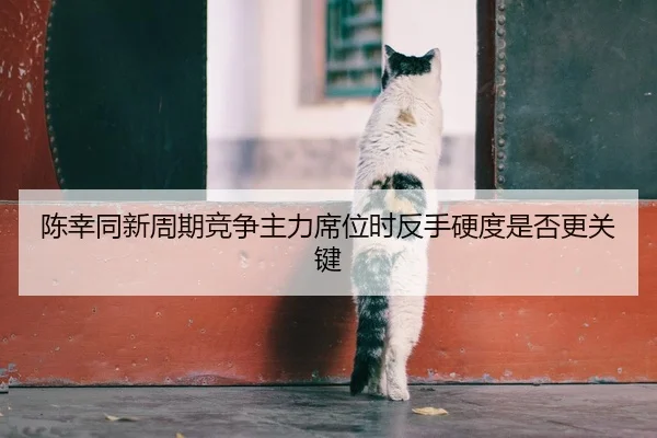 陈幸同新周期竞争主力席位时反手硬度是否更关键