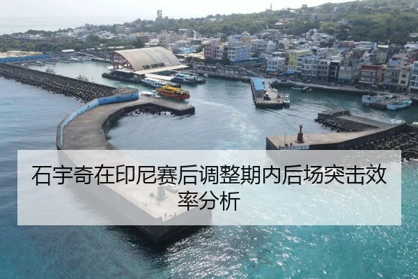 石宇奇在印尼赛后调整期内后场突击效率分析