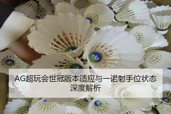 chao-wan-hui-shi-guan-ban-ben-shi-ying-yu-yi-nuo-she-shou-wei-zhuang-tai-shen-du-jie-xi-2-193.jpg