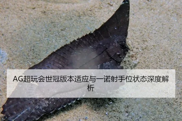 chao-wan-hui-shi-guan-ban-ben-shi-ying-yu-yi-nuo-she-shou-wei-zhuang-tai-shen-du-jie-xi-3-616.jpg