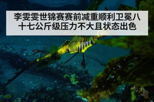 李雯雯世锦赛赛前减重顺利卫冕八十七公斤级压力不大且状态出色
